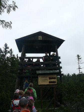 P1240991